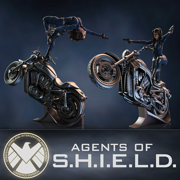 S.H.I.E.L.D. ( pose 1 ) - STL Files